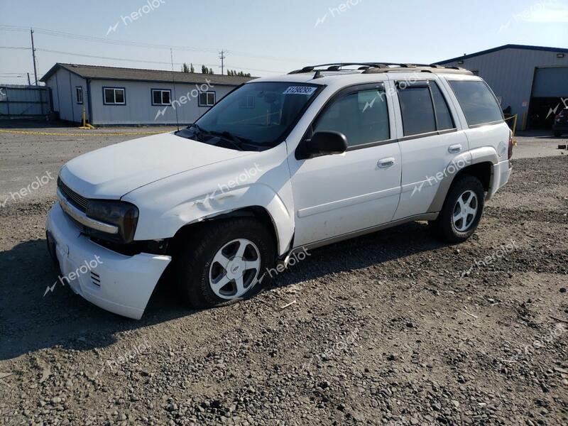 CHEVROLET TRAILBLAZE 2007 white  gas 1GNDT13S272279100 photo #1