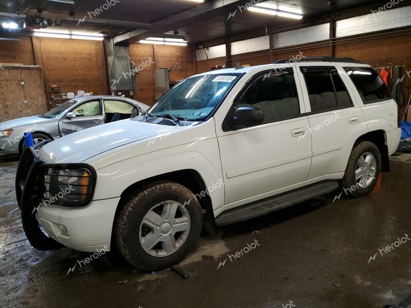 CHEVROLET TRAILBLAZE 2007 white  gas 1GNDT13S672197693 photo #1