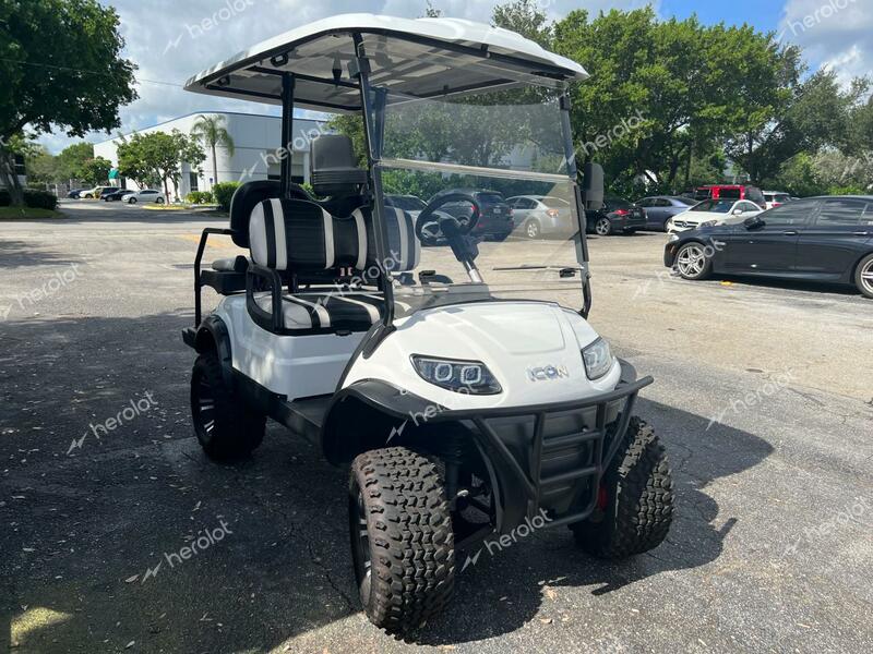 ICON GOLFCART 2019 white   FLA10834 photo #1