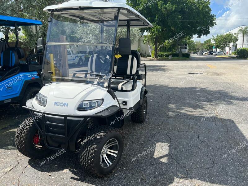 ICON GOLFCART 2019 white   FLA10834 photo #3