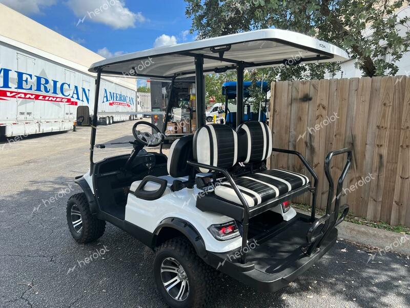 ICON GOLFCART 2019 white   FLA10834 photo #4