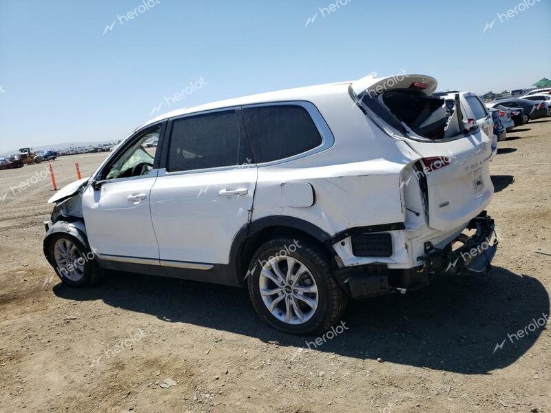 KIA TELLURIDE 2022 white  gas 5XYP2DHC6NG307172 photo #3