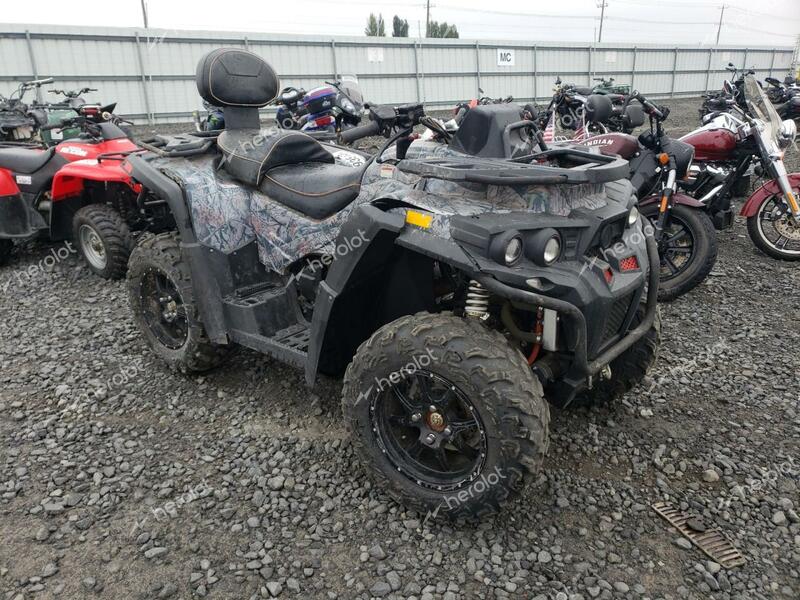 ATV 4 WHEELER 2017 two tone   L6FAGNA01H0000018 photo #1