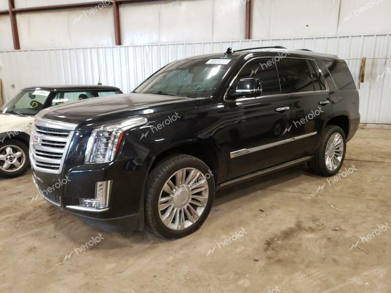 CADILLAC ESCALADE P 2016 black 4dr spor gas 1GYS4DKJ4GR193862 photo #1