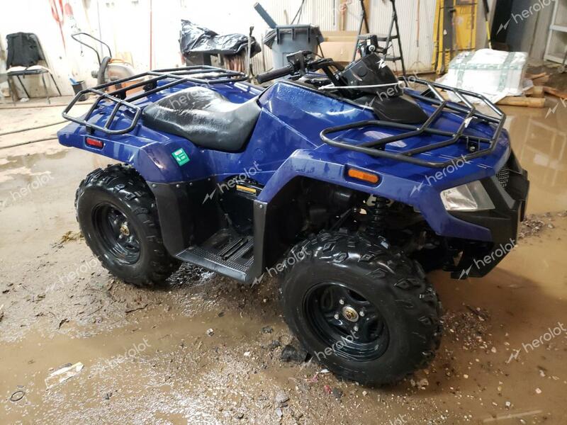 ARCTIC CAT ATV 2021 blue   RFB21ATV4MK6P0683 photo #1