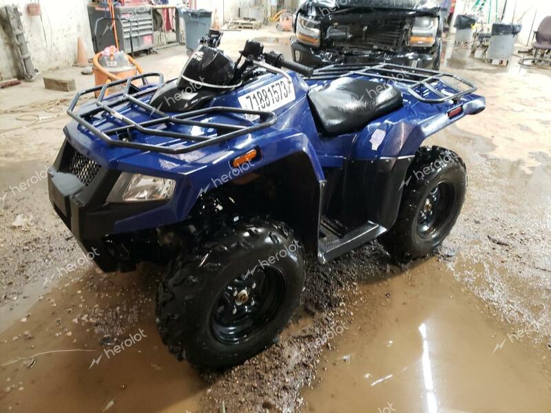 ARCTIC CAT ATV 2021 blue   RFB21ATV4MK6P0683 photo #3