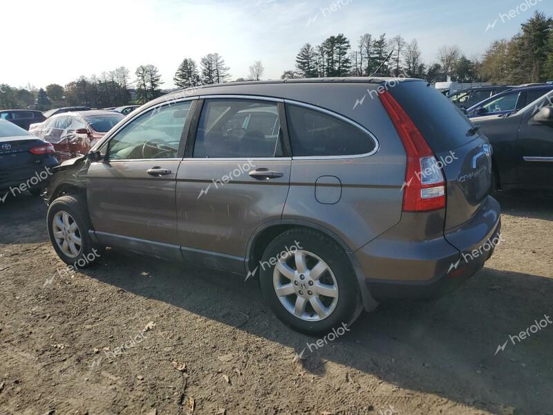 HONDA CR-V EXL 2009 gray  gas 5J6RE38779L013121 photo #3