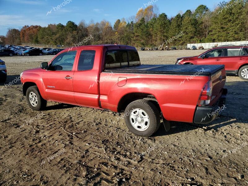 TOYOTA TACOMA ACC 2009 red  gas 5TETX22N19Z593071 photo #3