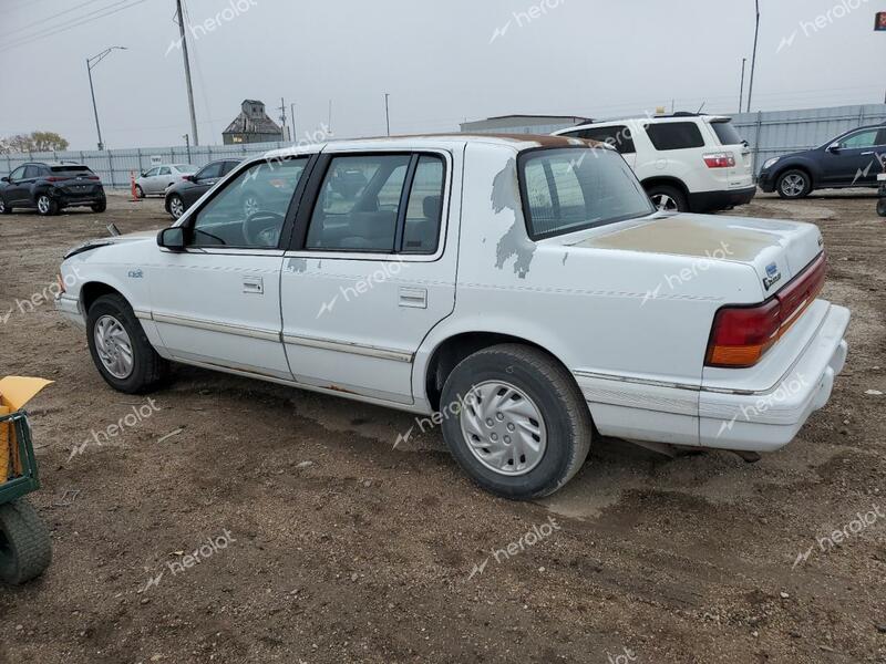 DODGE SPIRIT 1994 white  flexible fuel 1B3AA46V0RF219080 photo #3