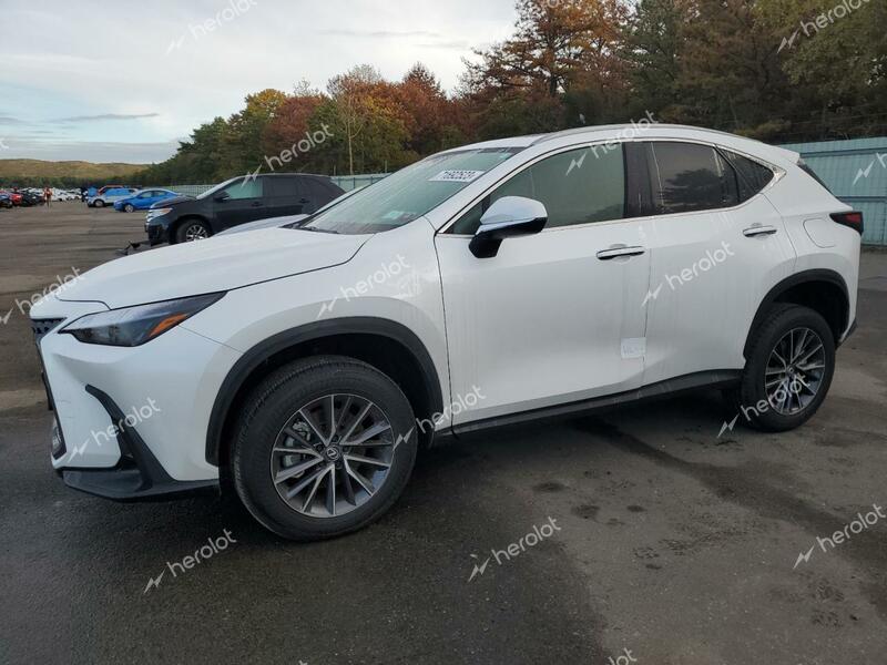 LEXUS NX 350 BAS 2024 white  gas 2T2AGCEZ6RC034080 photo #1