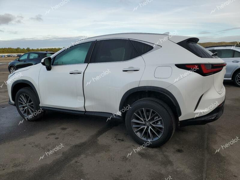 LEXUS NX 350 BAS 2024 white  gas 2T2AGCEZ6RC034080 photo #3