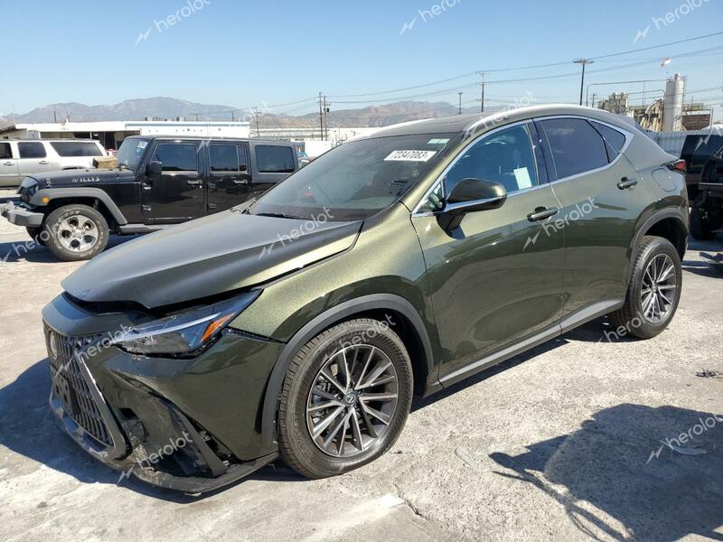 LEXUS NX 350 BAS 2024 green  gas 2T2AGCEZXRC043803 photo #1