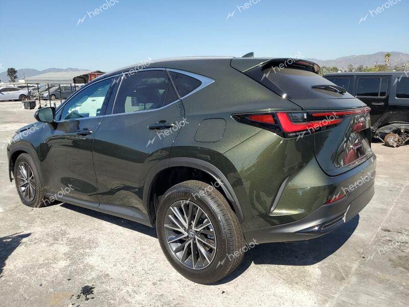 LEXUS NX 350 BAS 2024 green  gas 2T2AGCEZXRC043803 photo #3