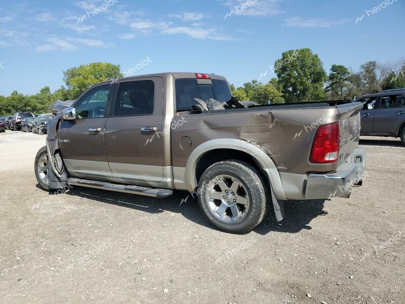 DODGE TRUCK 2010 brown  gas 1D7RV1CT5AS215020 photo #3