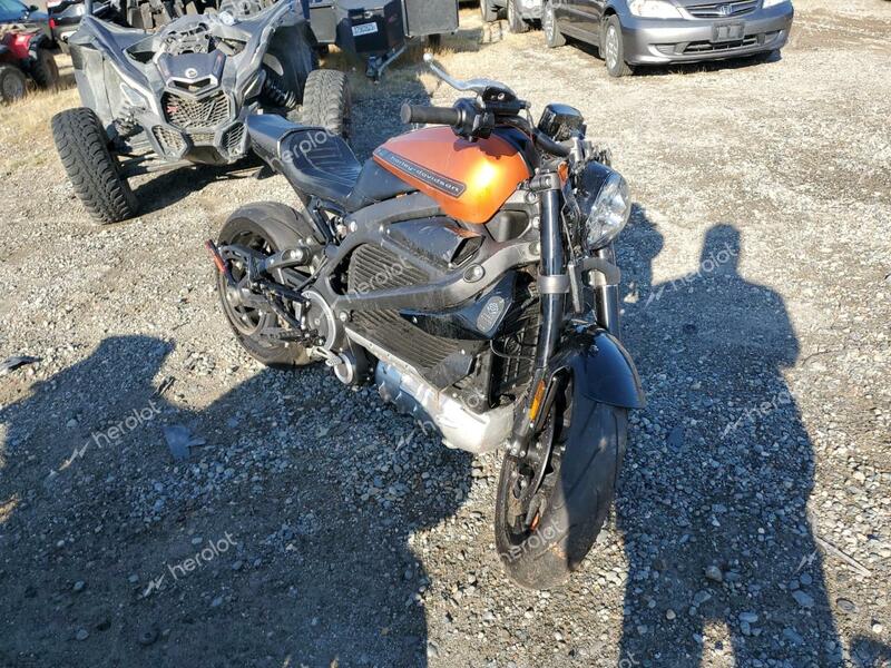 HARLEY-DAVIDSON ELW 2020 orange  electric 1HD2XAEB7LB800239 photo #1