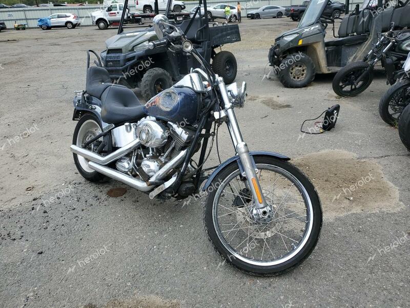 HARLEY-DAVIDSON FXSTC 2009 blue road/str gas 1HD1JL5129Y062999 photo #1