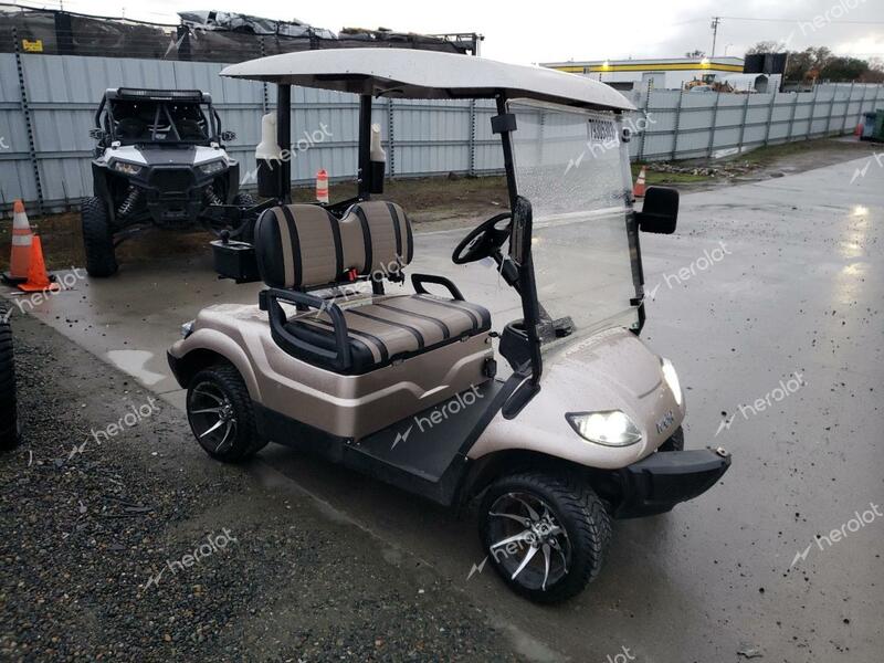 ICON GOLFCART 2022 tan   LTA0076199 photo #1