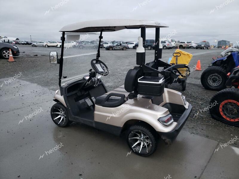 ICON GOLFCART 2022 tan   LTA0076199 photo #4