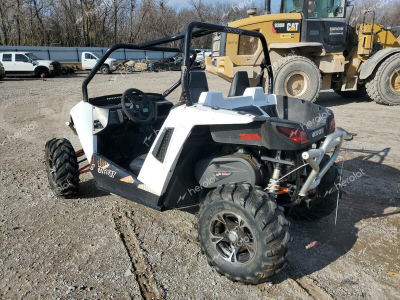 ARCTIC CAT WLDCAT 2015 white   4UF15MPV5FT300857 photo #4