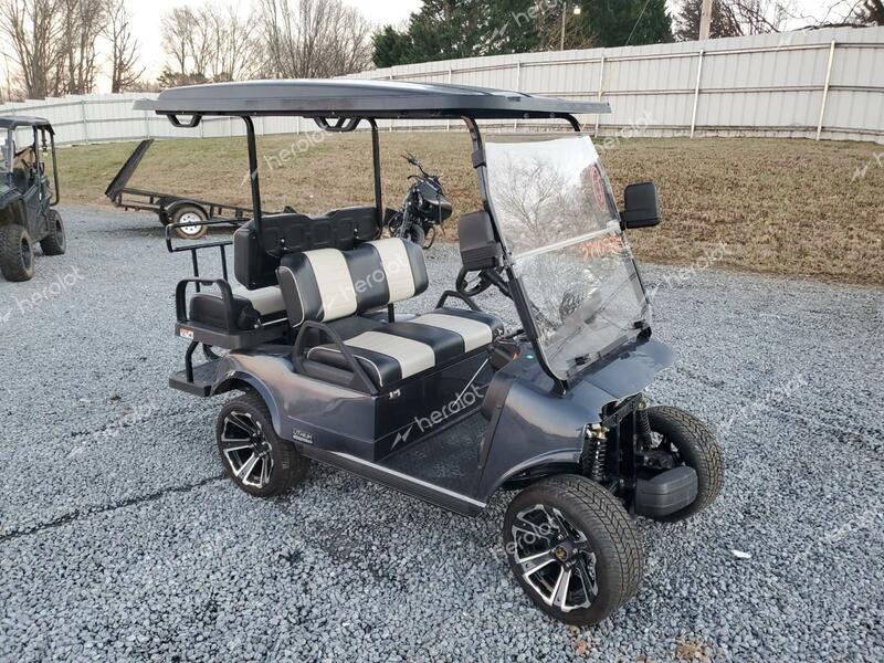 EVOL GOLF CART 2023 gray   202333899 photo #1