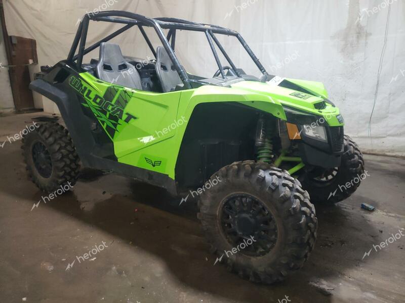 ARCTIC CAT WILDCAT X 2018 green   4UF18MPV1JT303822 photo #1