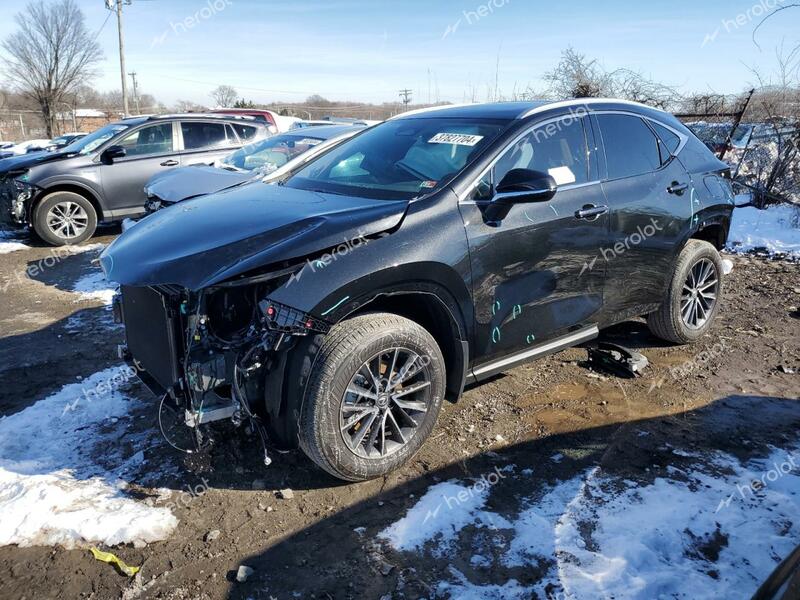 LEXUS NX 350 BAS 2024 charcoal  gas 2T2AGCEZXRC035068 photo #1