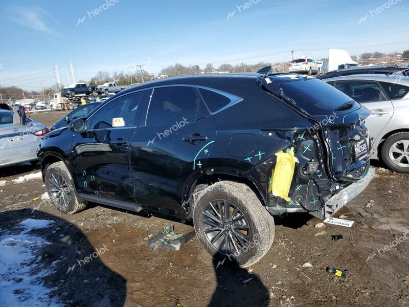 LEXUS NX 350 BAS 2024 charcoal  gas 2T2AGCEZXRC035068 photo #3