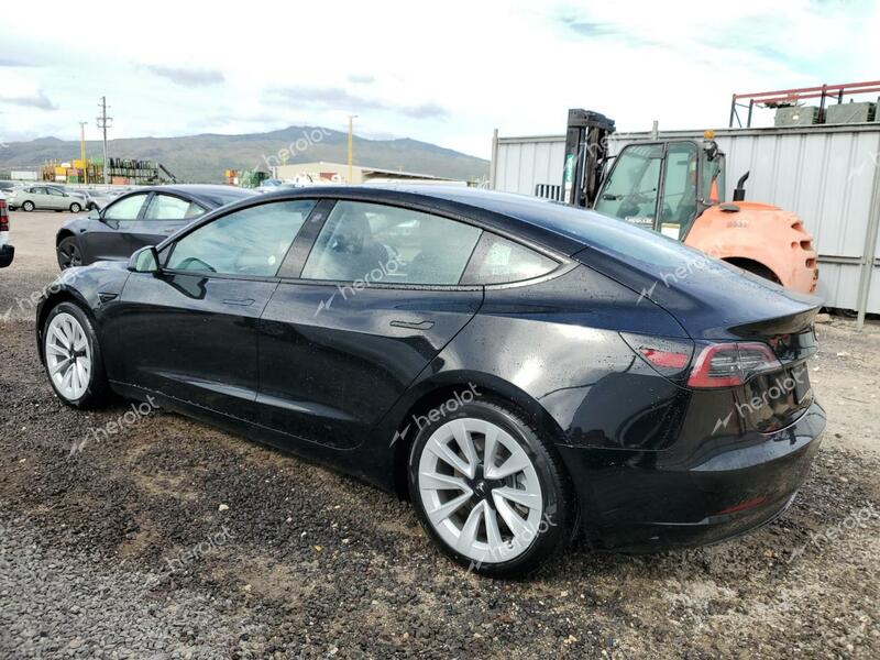 TESLA MODEL 3 2023 black  electric 5YJ3E1EA5PF430804 photo #3