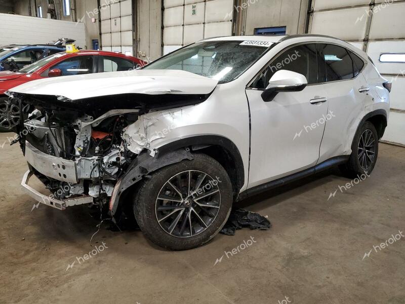 LEXUS NX 350 BAS 2024 white  gas JTJAGCEZ2R5006047 photo #1