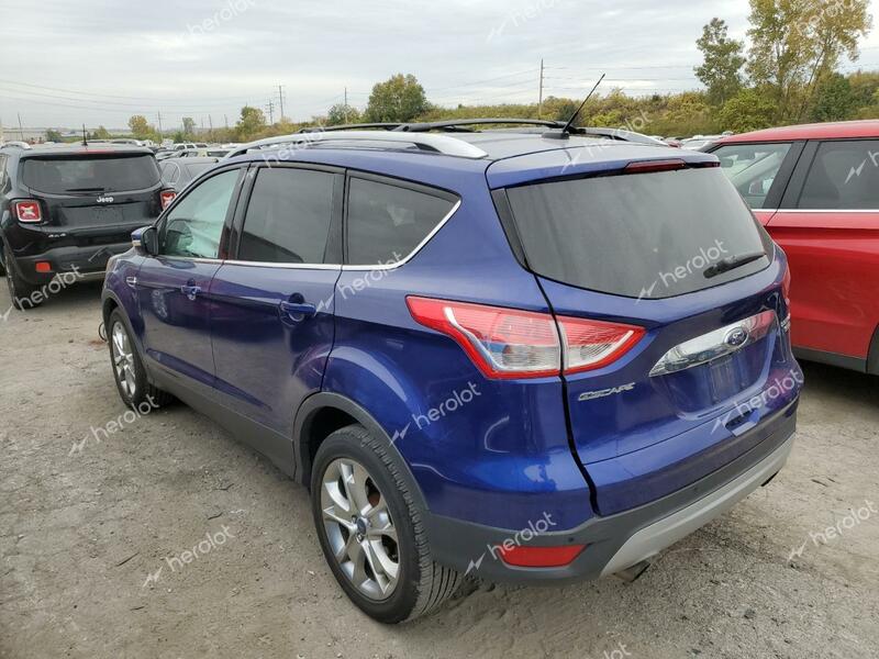 FORD ESCAPE TIT 2014 blue 4dr spor gas 1FMCU9JX8EUE25995 photo #3