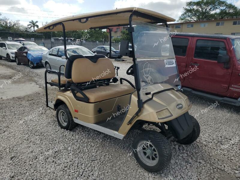 OTHER GOLF CART 2018 beige   52RG31112JG008757 photo #1