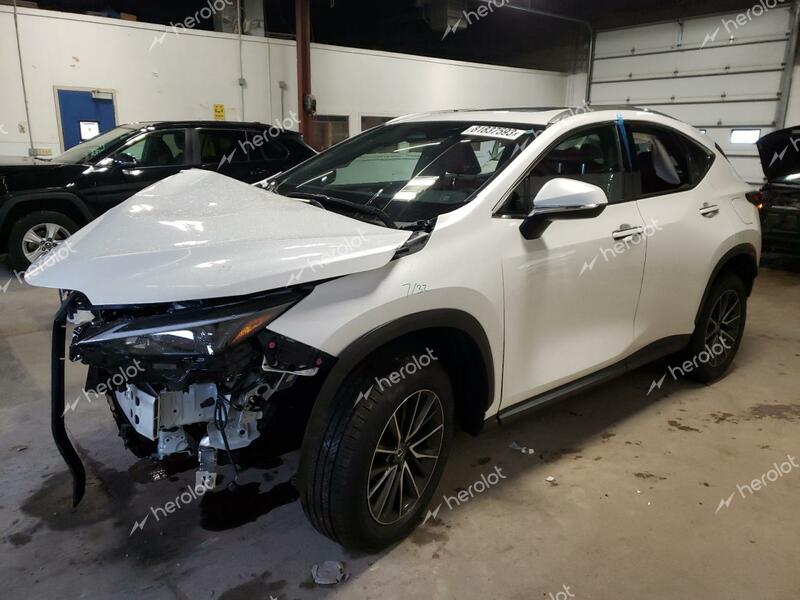 LEXUS NX 350 BAS 2024 white  gas JTJAGCEZ9R5007986 photo #1