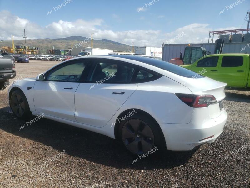 TESLA MODEL 3 2023 white  electric 5YJ3E1EA3PF428355 photo #3