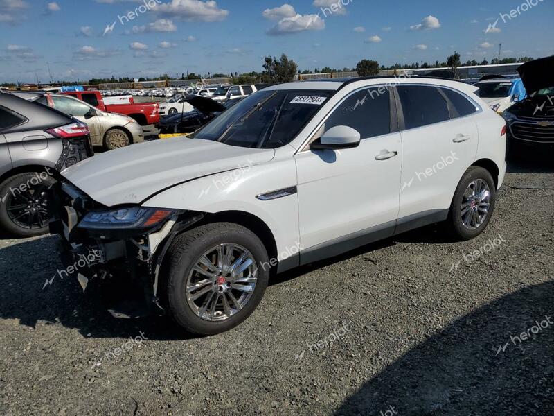 JAGUAR F-PACE PRE 2017 white 4dr spor diesel SADCK2BN8HA096143 photo #1