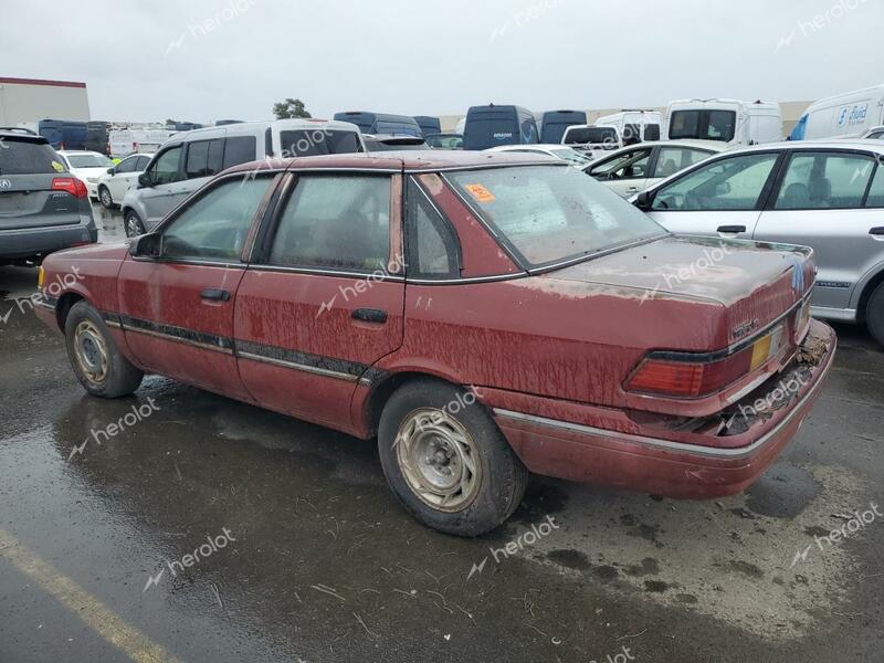 FORD TEMPO GL 1989 maroon  gas 2FAPP36X4KB185080 photo #3