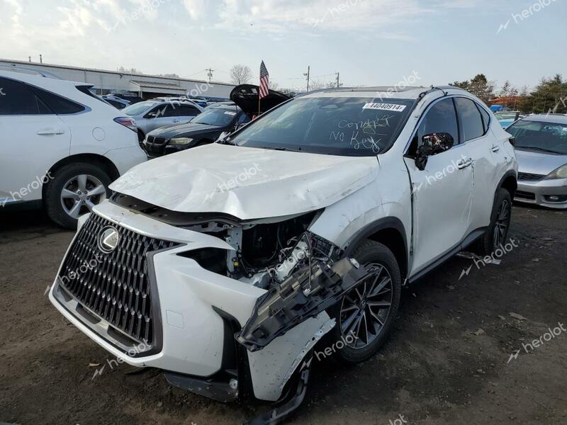 LEXUS NX 350 BAS 2024 white  gas JTJAGCEZXR2016214 photo #1