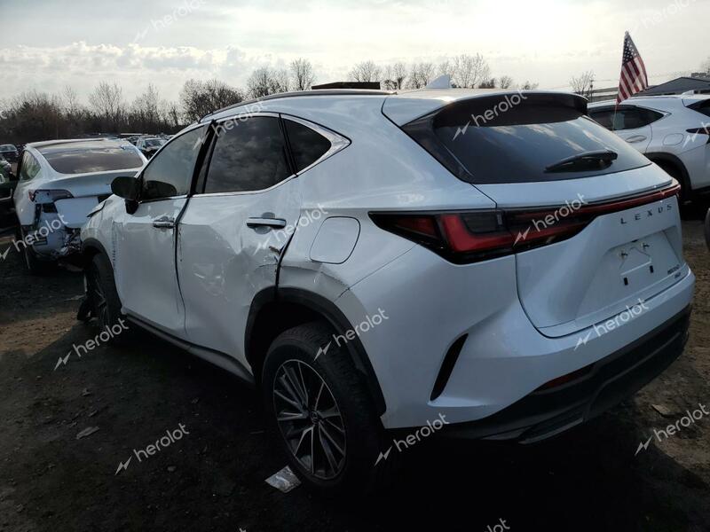 LEXUS NX 350 BAS 2024 white  gas JTJAGCEZXR2016214 photo #3