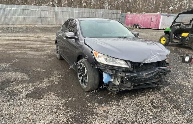 HONDA ACCORD EXL 2017 gray sedan 4d gas 1HGCR2F89HA029905 photo #1