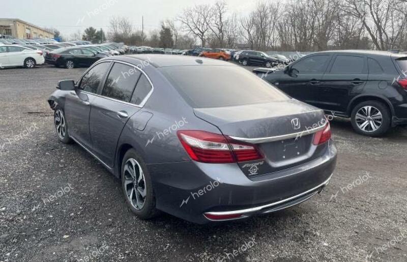 HONDA ACCORD EXL 2017 gray sedan 4d gas 1HGCR2F89HA029905 photo #4