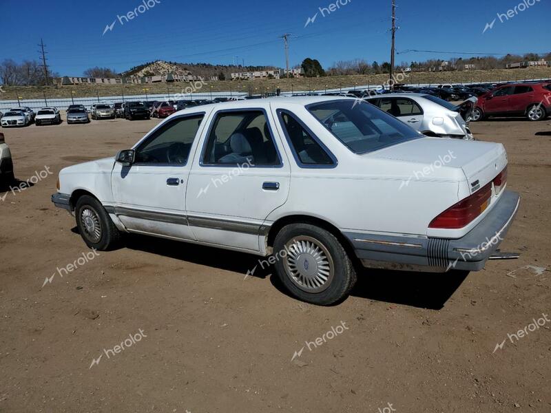 FORD TEMPO 1987 white  gas 1FABP39S8HK259058 photo #3