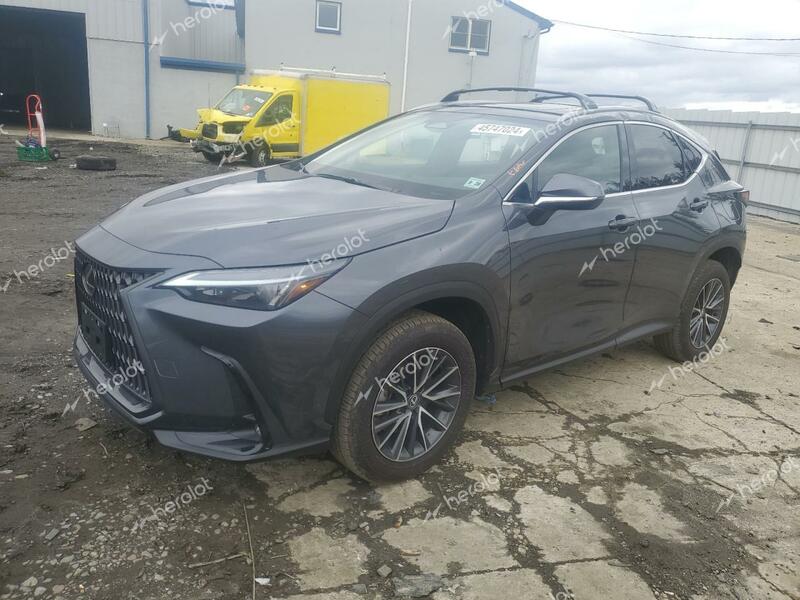 LEXUS NX 350 BAS 2024 gray  gas 2T2AGCEZ9RC040830 photo #1