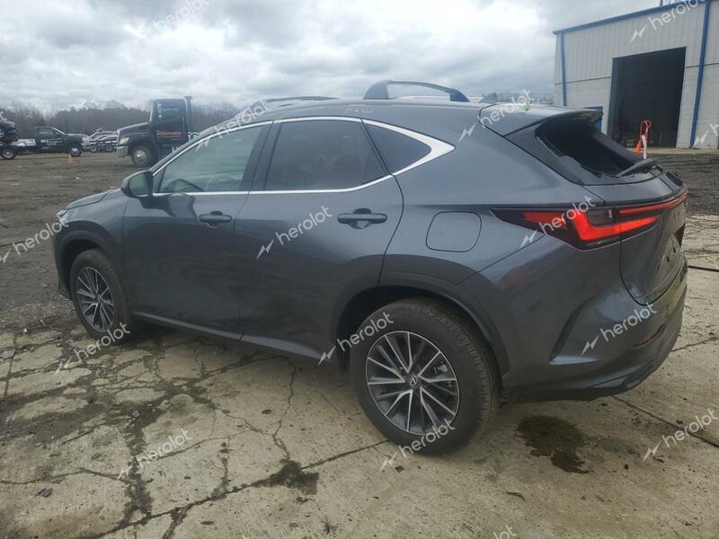 LEXUS NX 350 BAS 2024 gray  gas 2T2AGCEZ9RC040830 photo #3