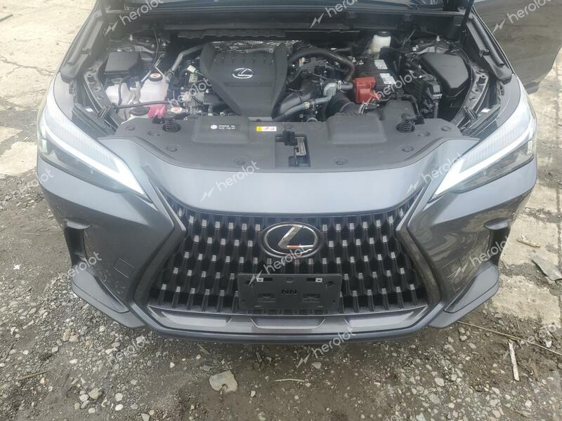 LEXUS NX 350 BAS 2024 gray  gas 2T2AGCEZ9RC040830 photo #4