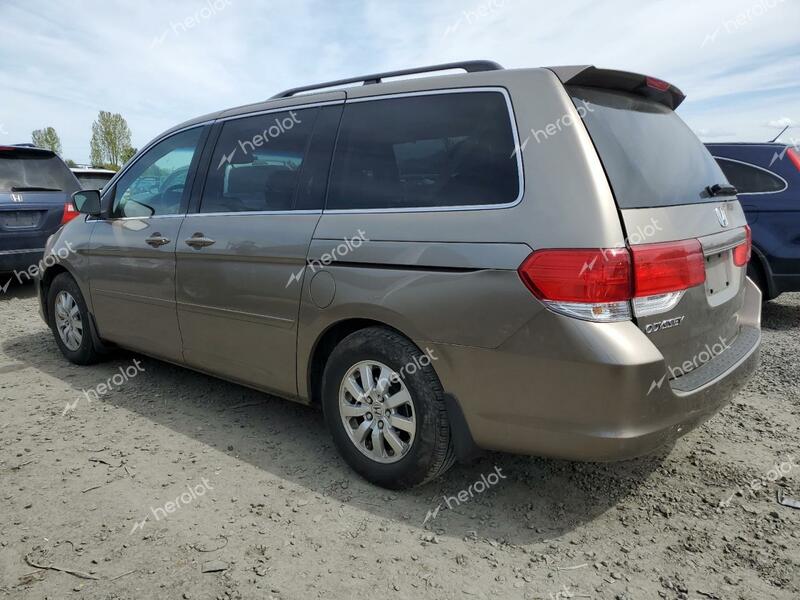 HONDA ODYSSEY EX 2008 gold  gas 5FNRL38758B041500 photo #3