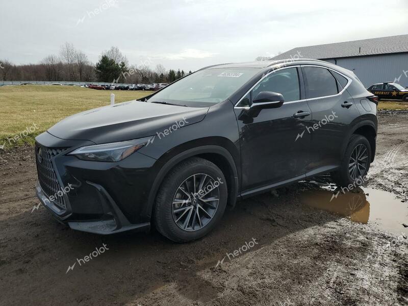 LEXUS NX 350 BAS 2024 black  gas 2T2AGCEZ5RC041893 photo #1