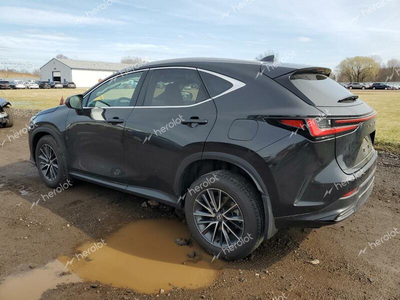 LEXUS NX 350 BAS 2024 black  gas 2T2AGCEZ5RC041893 photo #3