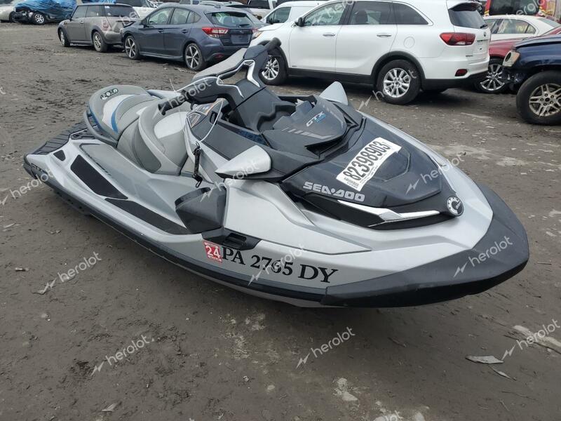 SEAD GTX LIMITE 2020 silver   YDV32287L920 photo #1