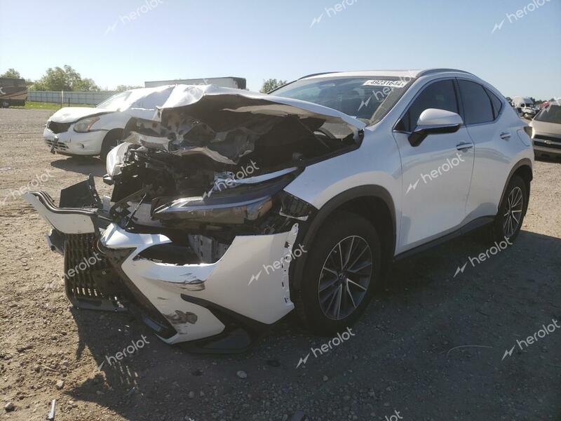 LEXUS NX 250 PRE 2024 white  gas JTJGDCAZ5R5014040 photo #1