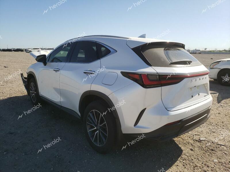 LEXUS NX 250 PRE 2024 white  gas JTJGDCAZ5R5014040 photo #3