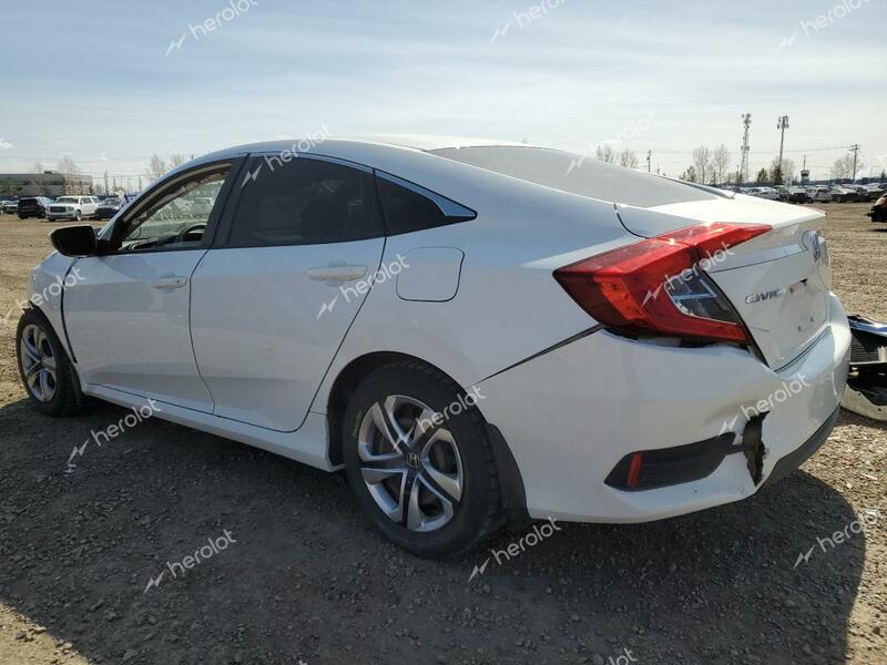 HONDA CIVIC LX 2017 white sedan 4d gas 2HGFC2F53HH022860 photo #3